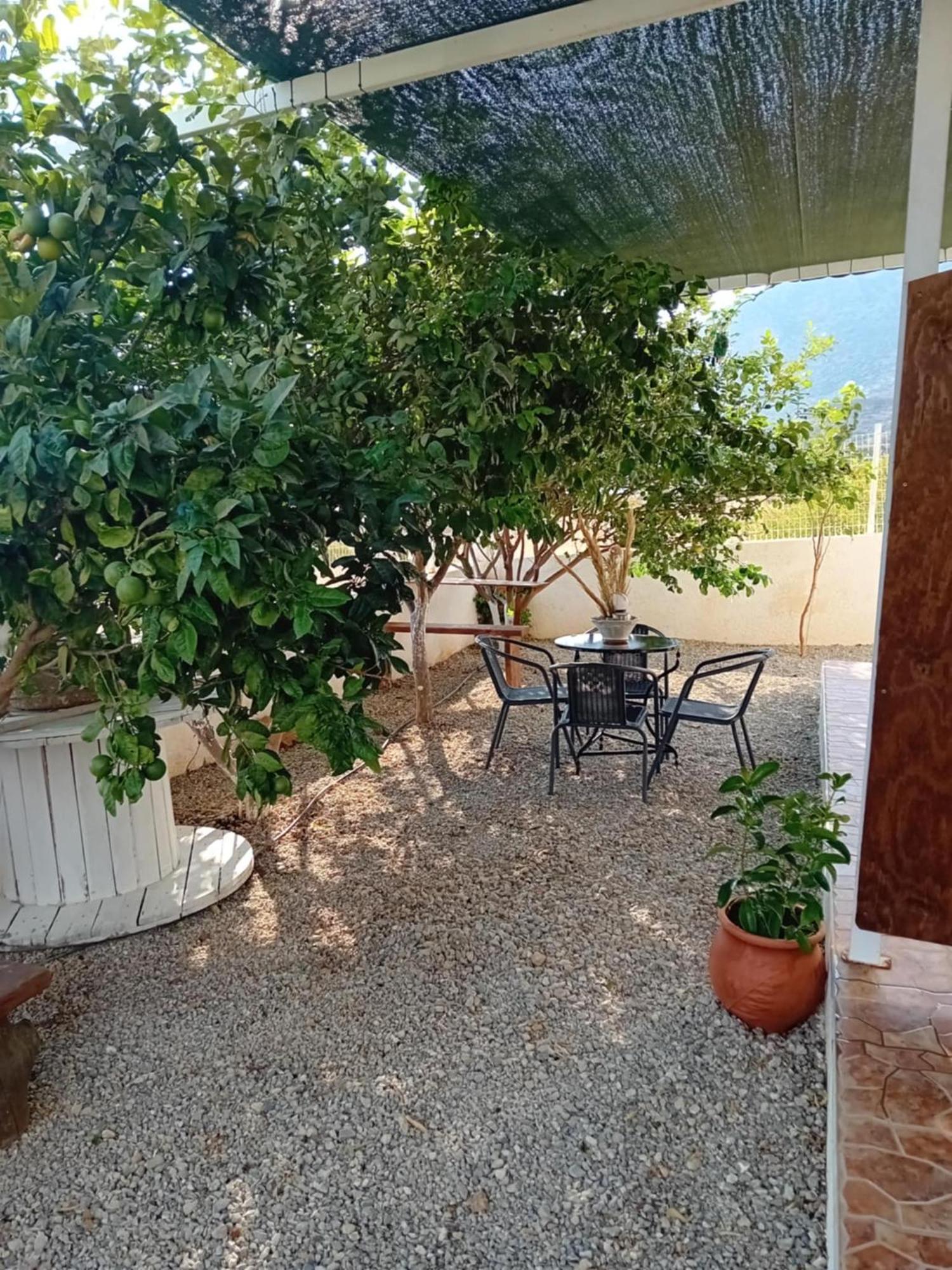 Studios Anna Maria With Sea View Kapetanianá Exterior foto